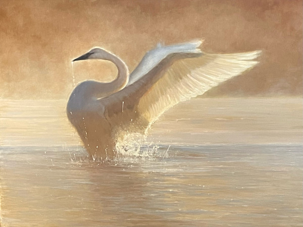 Morning Sun Salutations by Lois Engberg, Image 2.