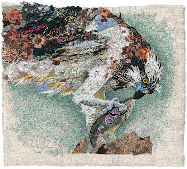 "Today's Catch"    Sea Hawk (Pandion haliaetus) by Susan Fay Schauer