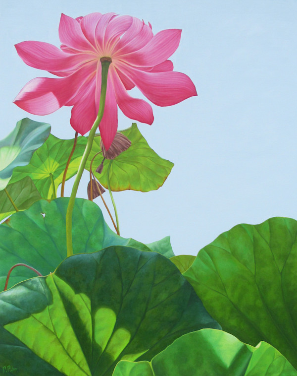 Lotus Number Twenty Five by Frank DePietro