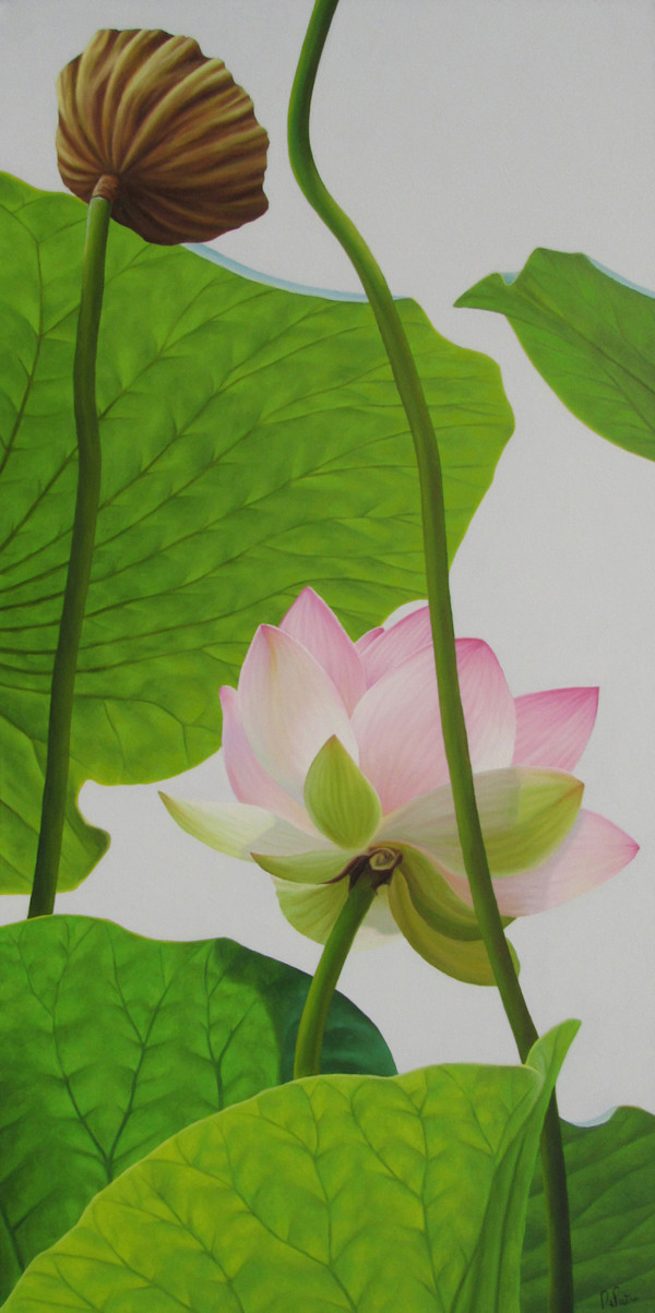 Lotus #42 by Frank DePietro