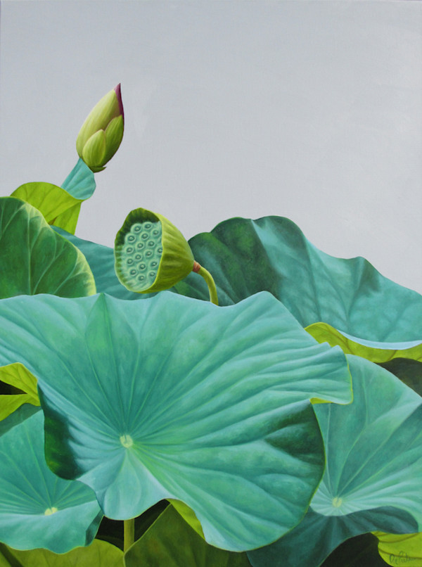 Lotus #43 by Frank DePietro