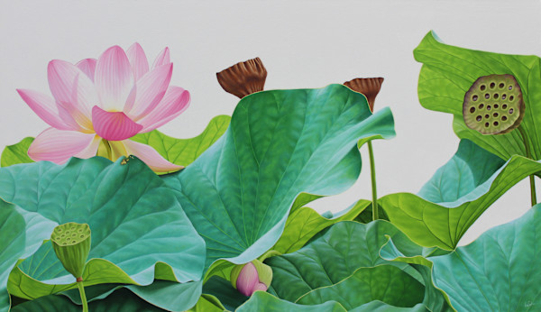 Lotus Number Seventy Six by Frank DePietro