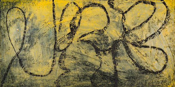 Contour by Sharon Cannon