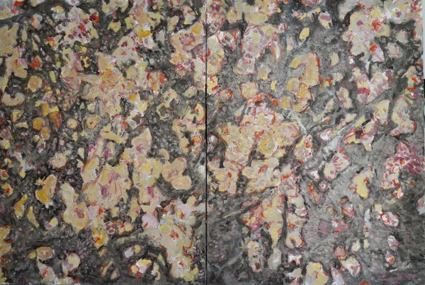 jelly fish by Christoph Müller