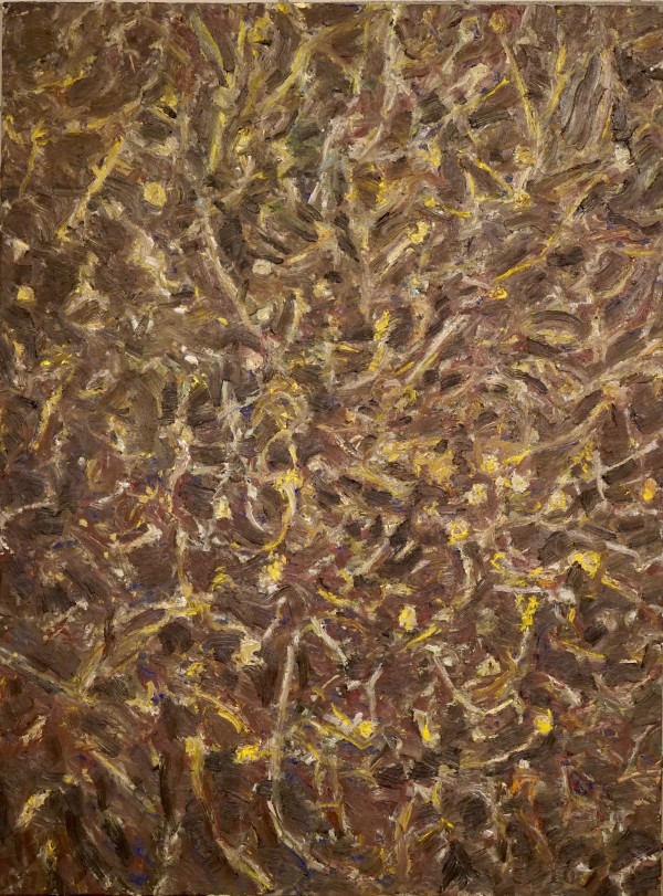 Outback by Christoph Müller