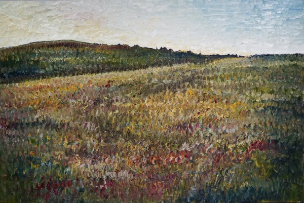 paysage de collines by Christoph Müller