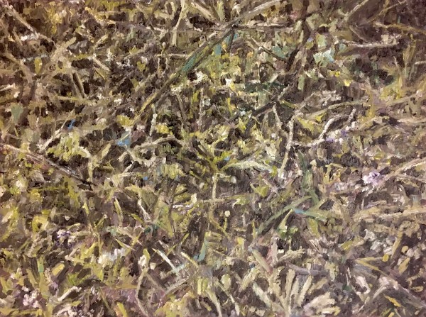 Prairie  by Christoph Müller