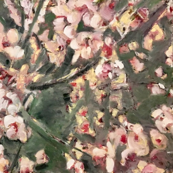 japanese blossom tree II by Christoph Müller