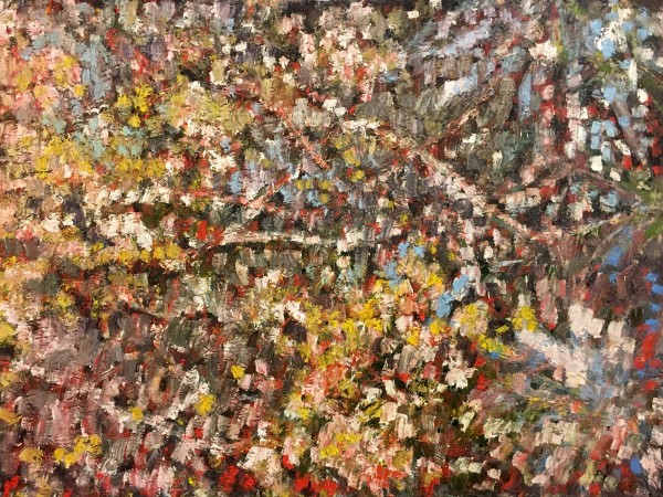 Paysage coloré by Christoph Müller