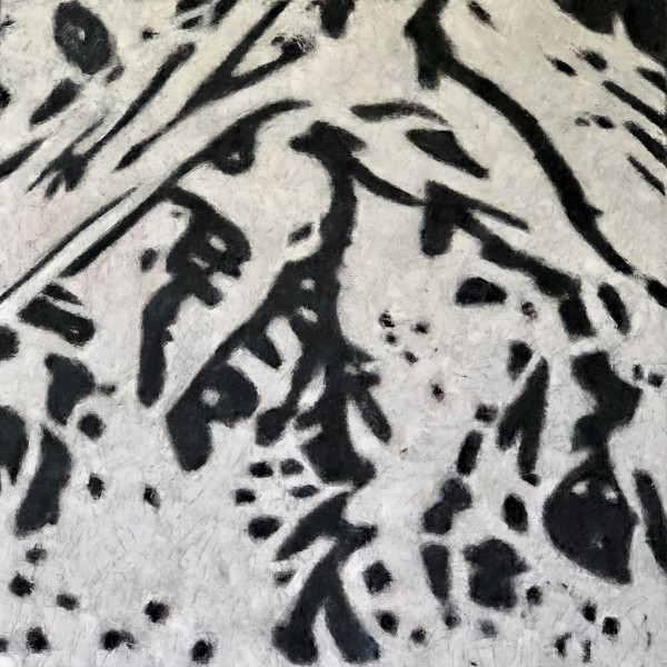 Älpetli by Christoph Müller