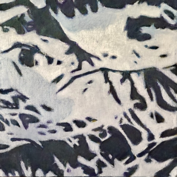 Pardatschas by Christoph Müller