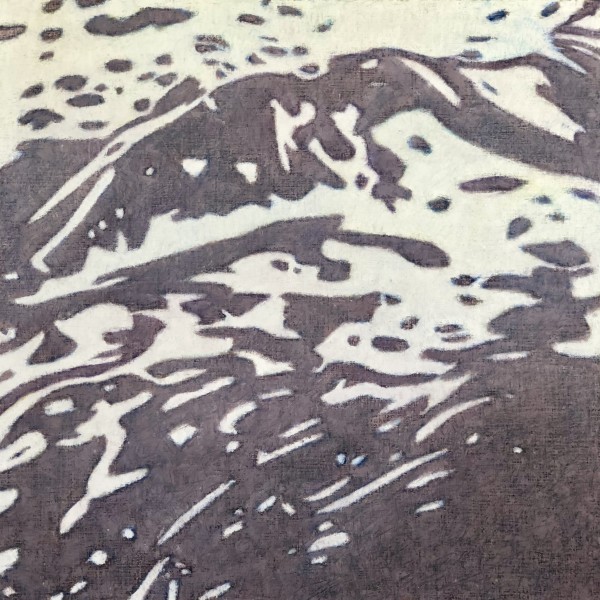 Pardatschas by Christoph Müller