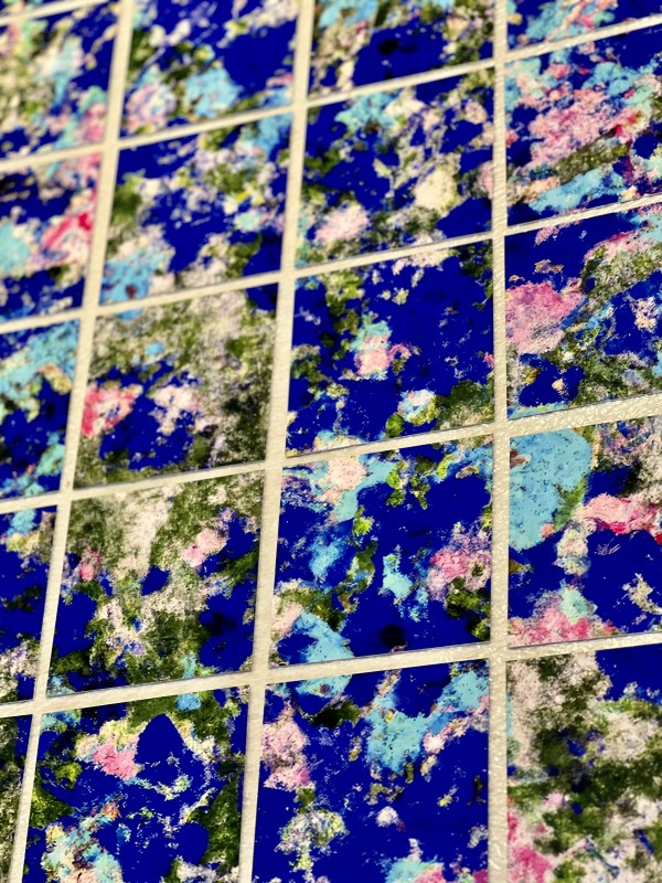 Enzian Field / one, Cut* , Limited Edition Series by CHRISTOPH MUELLER