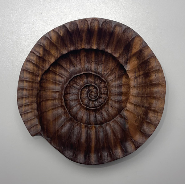 Ammonite Bowl by Aria Kingsley