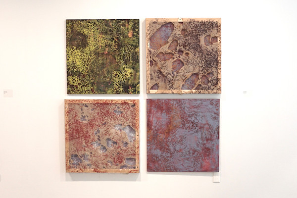 Degeneration by courtney lougheed