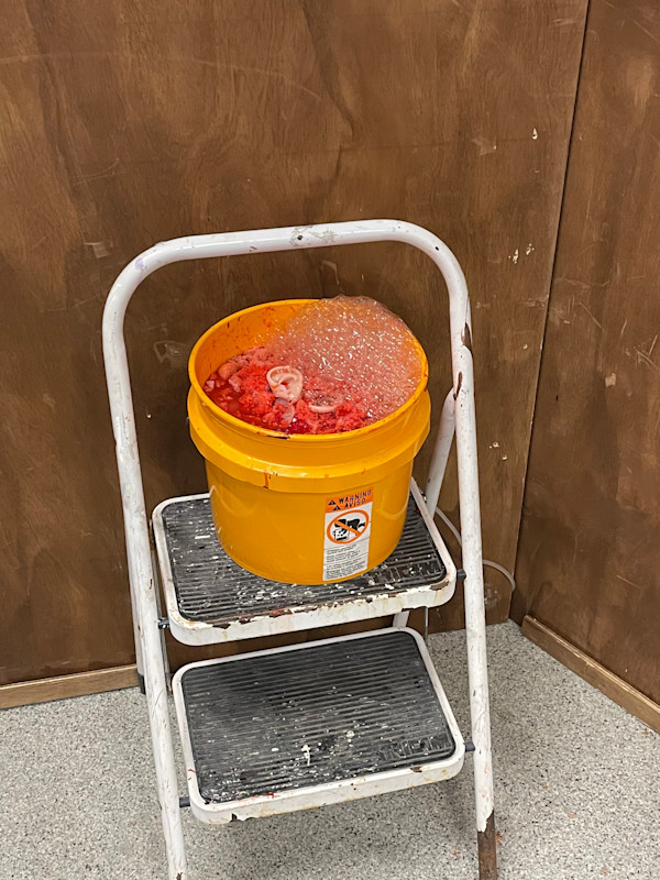 Ear by courtney lougheed