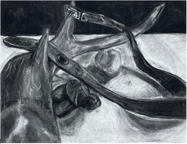 study by courtney lougheed, Image 2.
