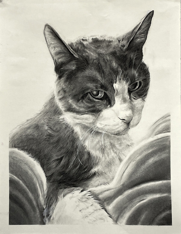 Manners by Cat M. V.