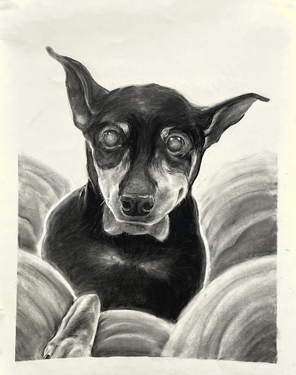 Spike by Cat M. V.