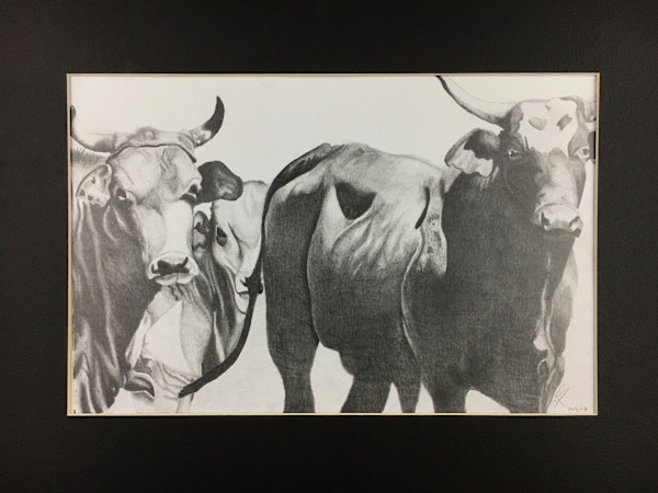 Cows by Kate Seckar