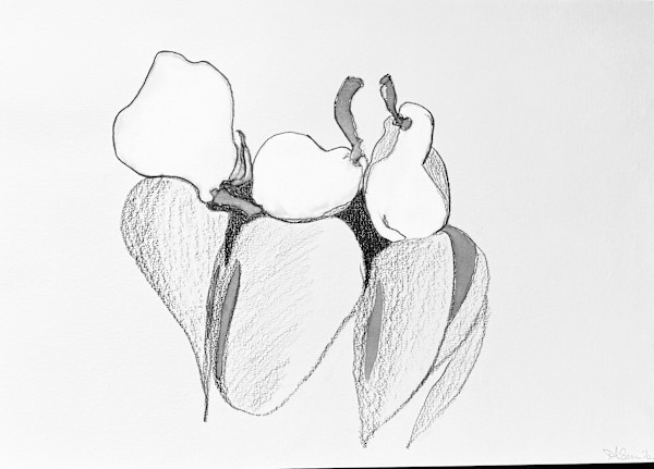 Pear shadows by Danièle Lamarche-Sarvia neo figurativism, figurative expressionism  painter