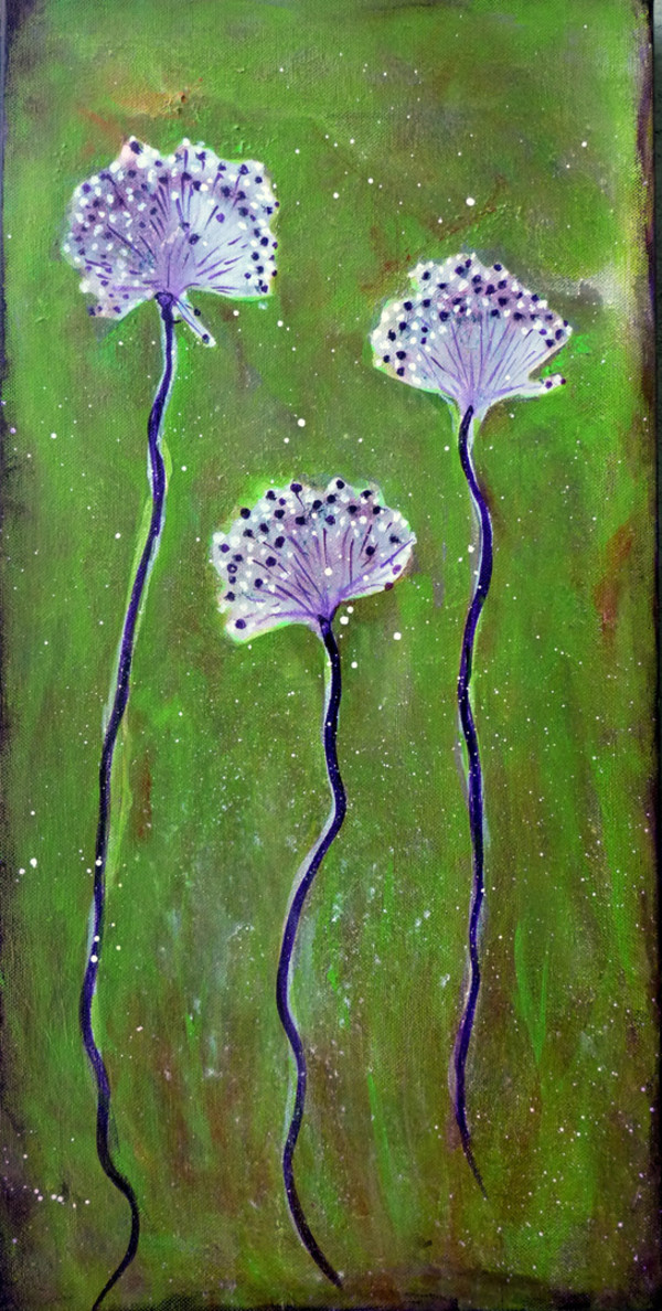 Allium Seed Heads by Mari O'Brien