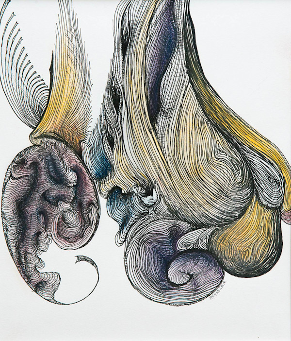 BULBOUS by joseph a. henseler, Image 2.