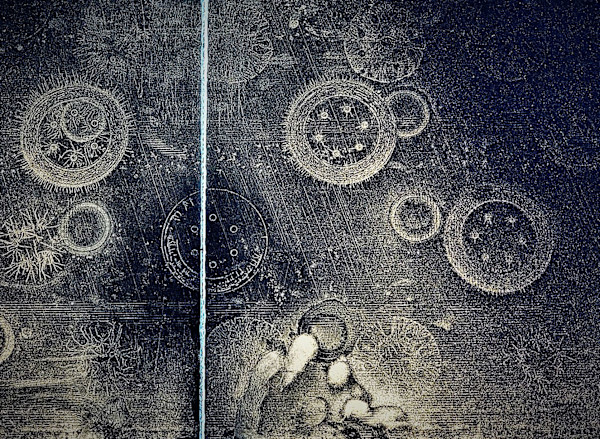 DUSTY BOARDS by joseph a. henseler, Image 2.