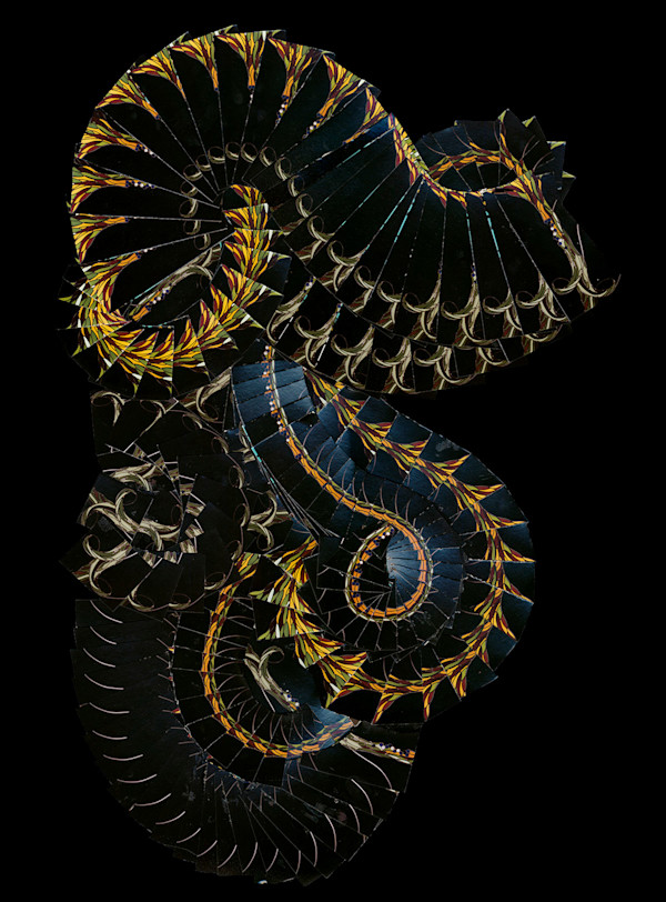 AEOBAI 2 by joseph a. henseler, Image 1.