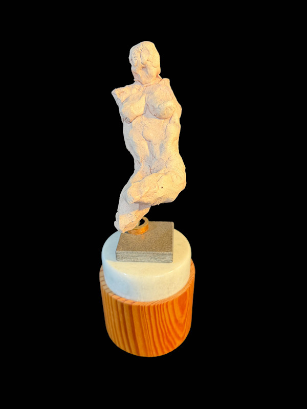 SUPPORTED TORSO by joseph a. henseler, Image 1.