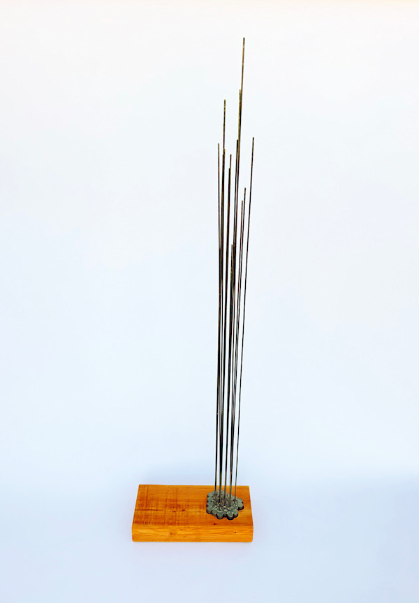 ASPIRING RODS by joseph a. henseler, Image 1.