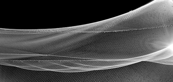 NETTING by joseph a. henseler, Image 1.