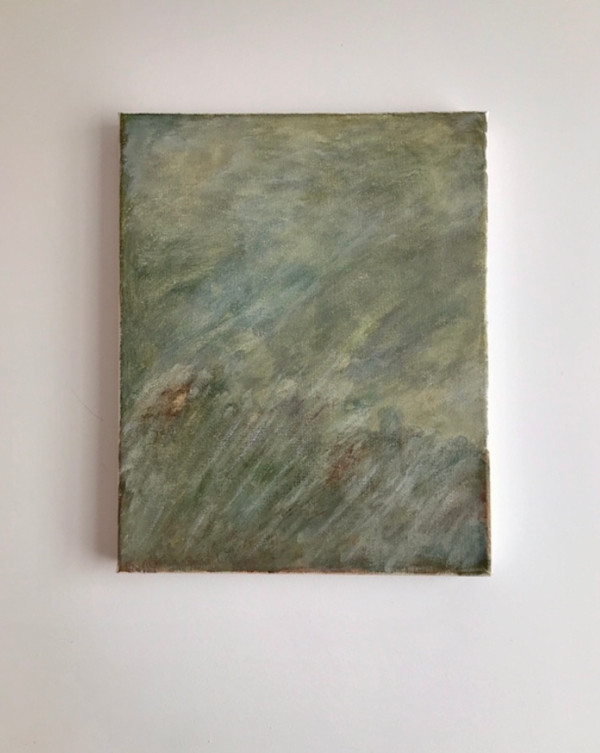 Swans by Ana de Cova