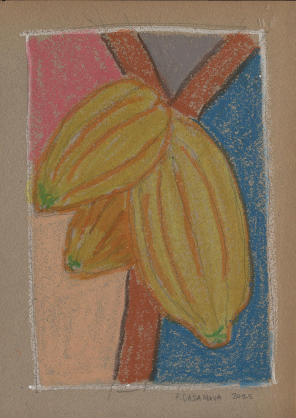 Cacao Bean #2 by Nova Dream Space