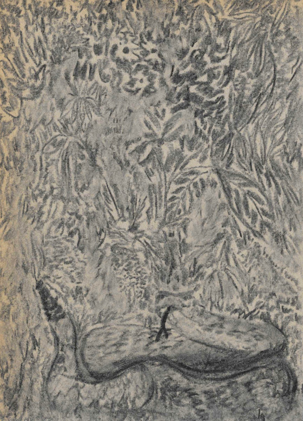 Jungle Snake by Nova Dream Space