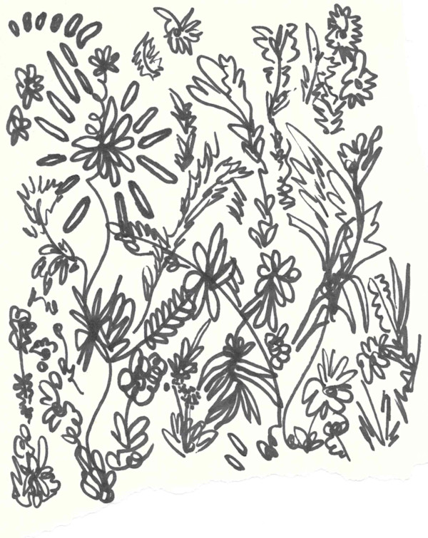 Flores para el martes by Nova Dream Space