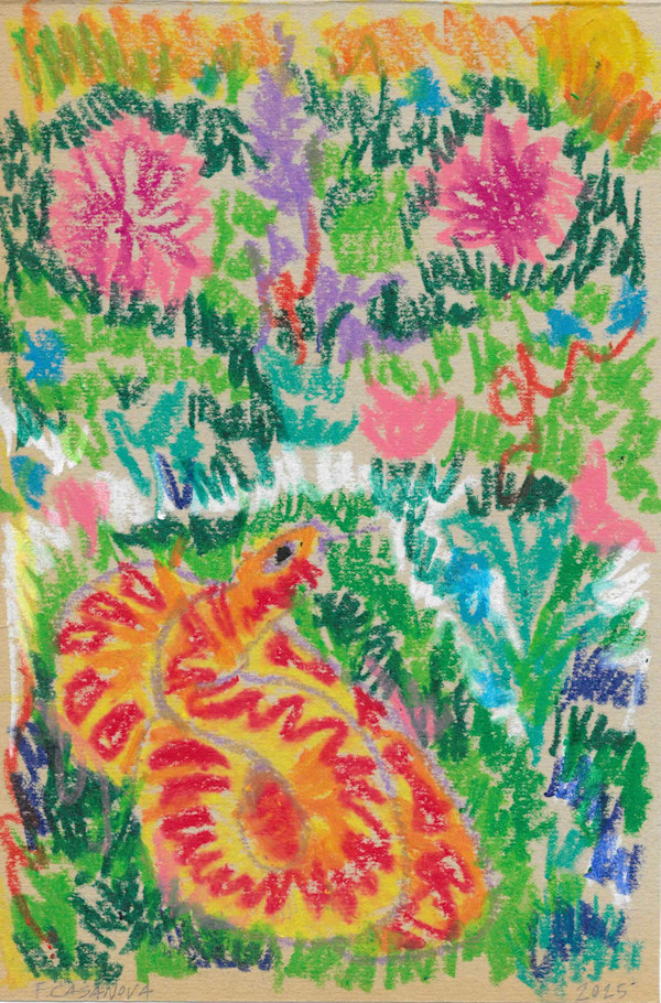 Snake Sunbathing in the Grass by Nova Dream Space