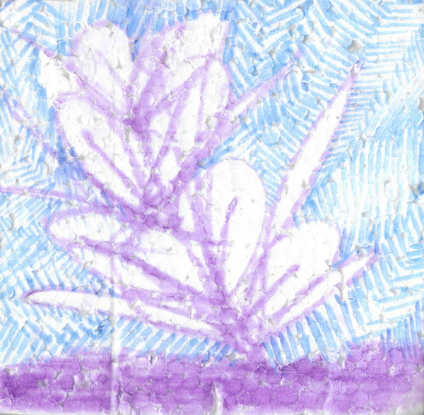 Tropical Beam by Nova Dream Space