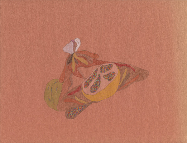 Naranja by Nova Dream Space