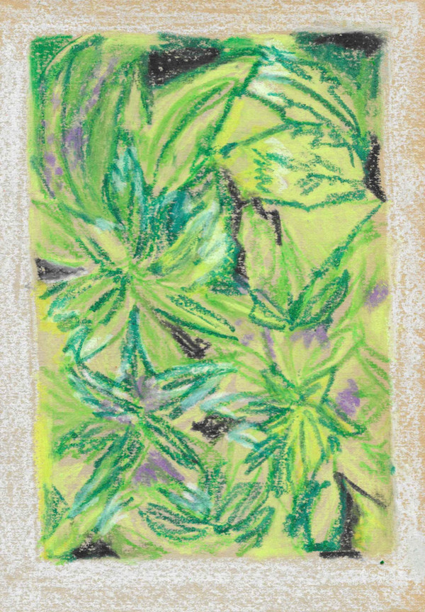 ¡Más verde! by Nova Dream Space
