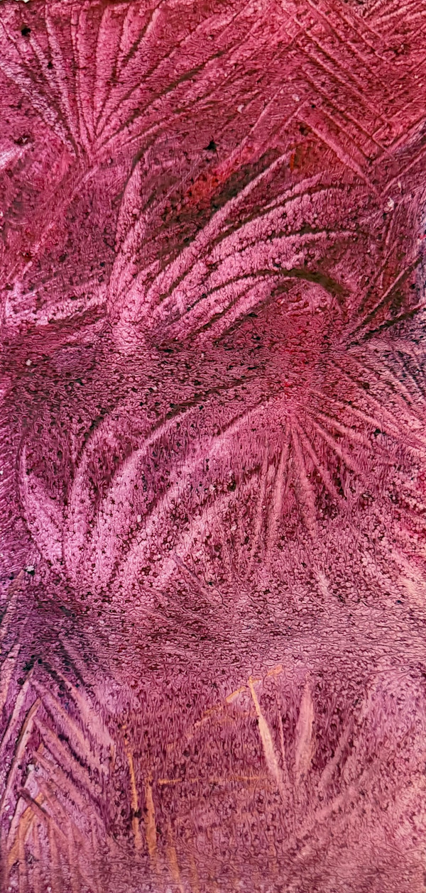 Magenta Palms by Nova Dream Space