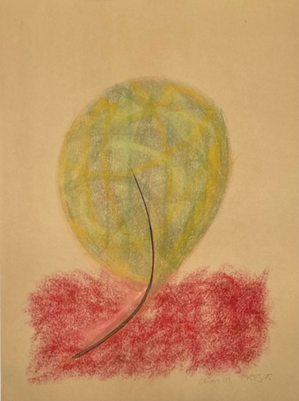 Onion III by Kjeld Tidemand-Johannessen