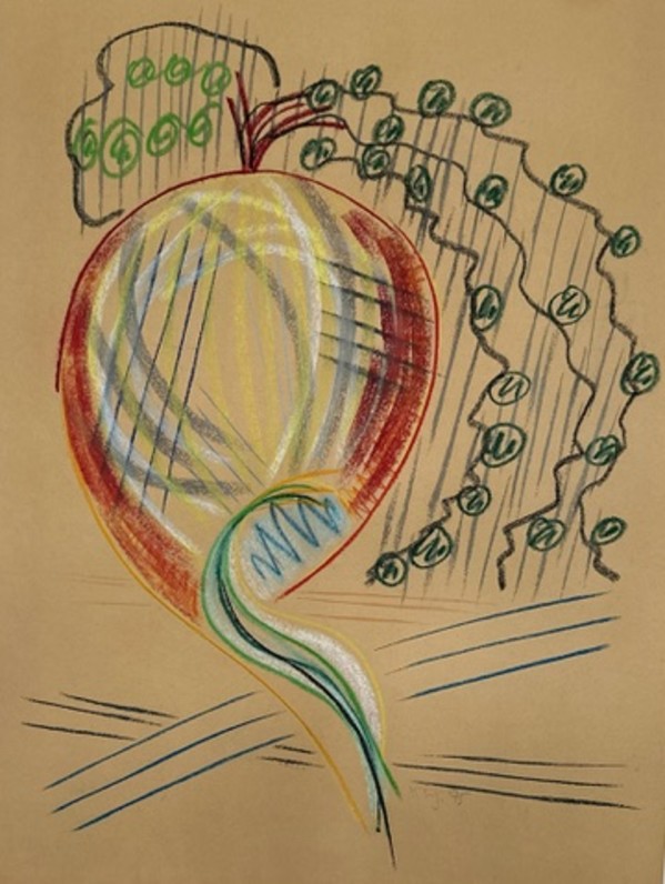 Onion IV by Kjeld Tidemand-Johannessen