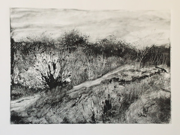 Come Find a Peaceful Place by Elizabeth Gomes, Image 1.