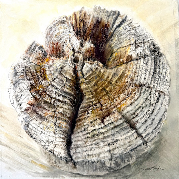 Cracks in My Heart: Stories in Wood by Elizabeth Gomes, Image 1.