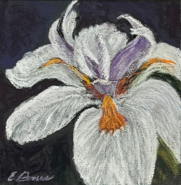 Resilience by Elizabeth Gomes, Image 1.