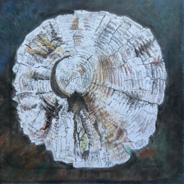 Rings of Life: Stories in Wood by Elizabeth Gomes, Image 1.