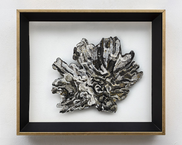 Coral by Ingrid Elizabeth Lauw Peña