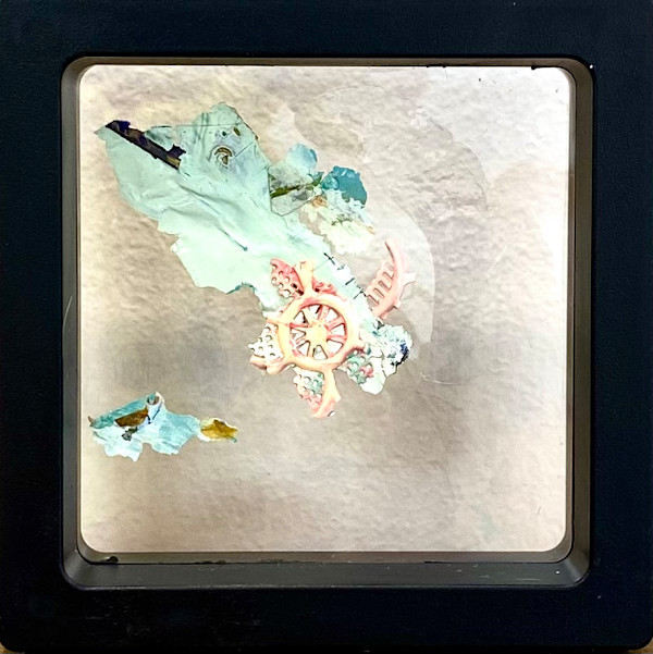 S/T_de la serie 20 fósiles pictóricos by Ingrid Lauw Peña