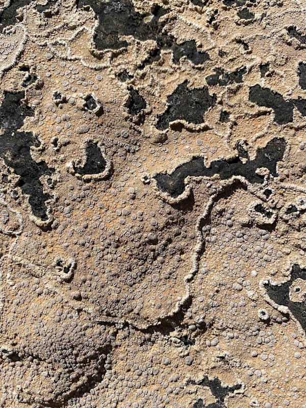 Geografia Naturae by Ingrid Lauw Peña, Image 2.